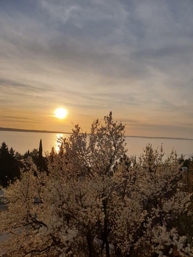 Apartmani Goga Stari Grad Kültér fotó